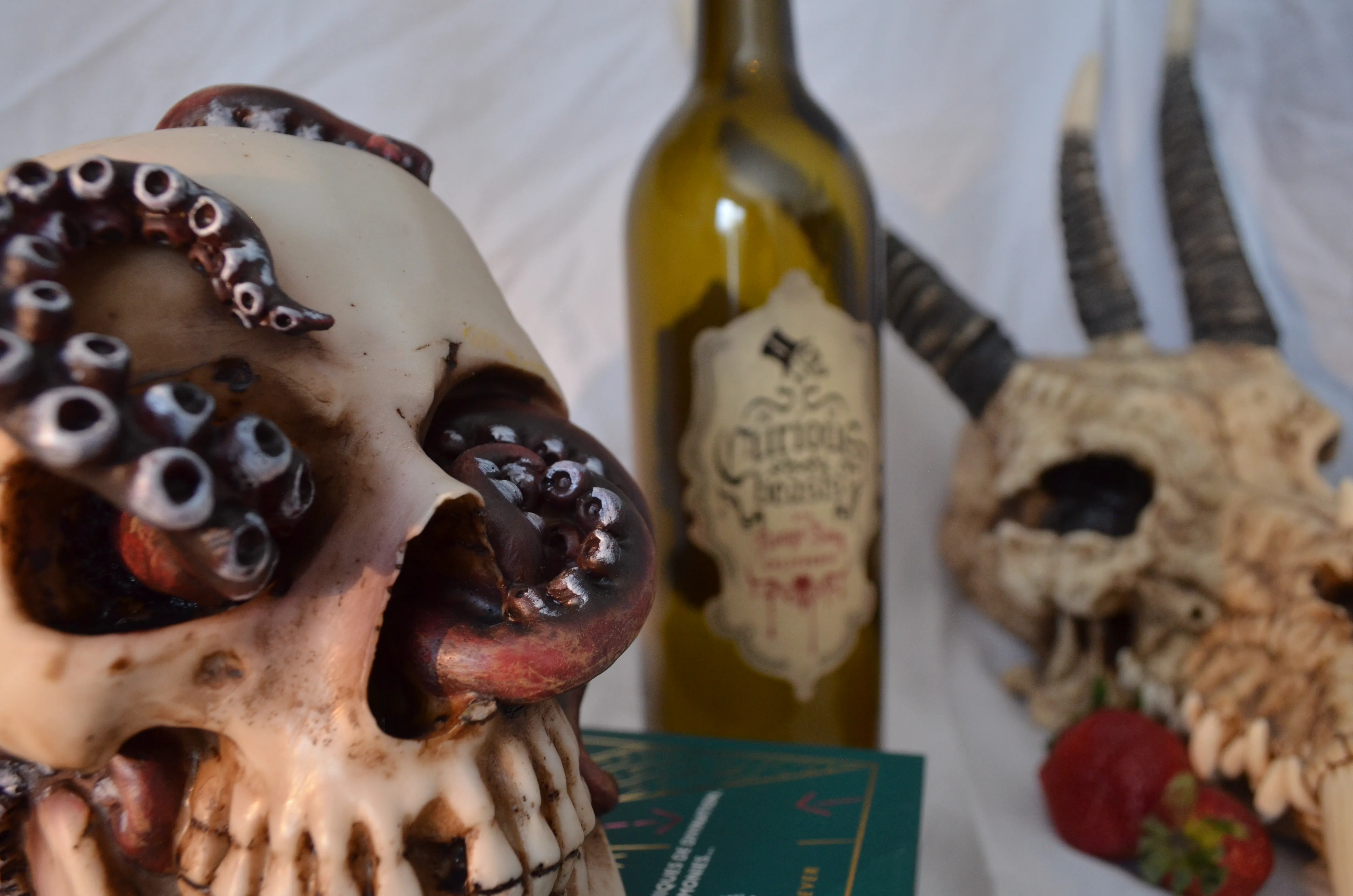 Photos de Nature Morte